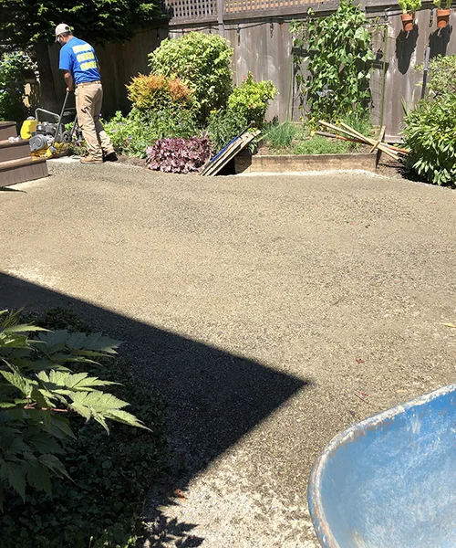 Bluestone Patio and walkway in Seattle